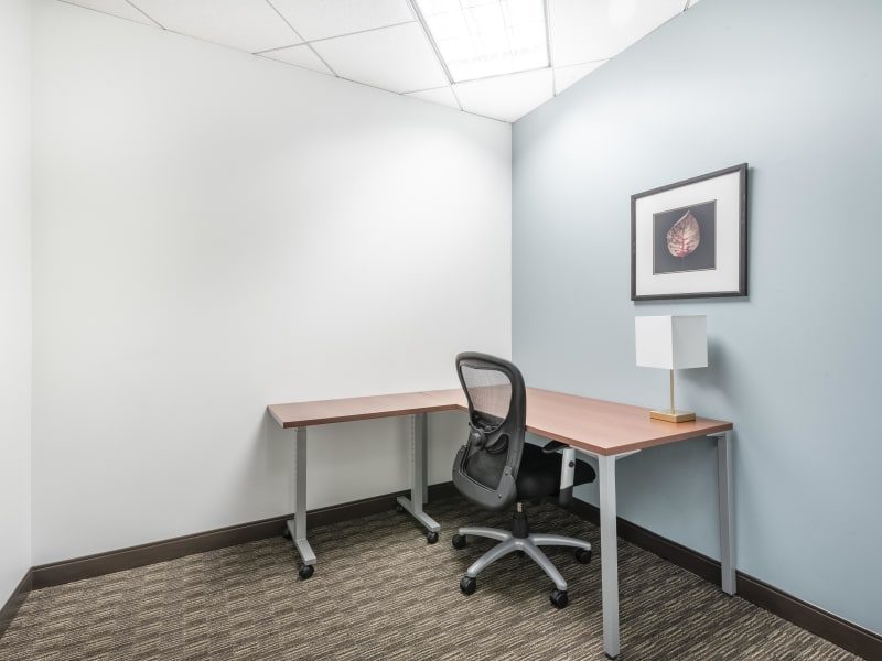 Private Office To Rent, Charlotte, 28210 – photo 6